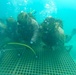 Exercise Caribbean Coastal Warrior 25: UBA to SCUBA Drills