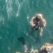 Exercise Caribbean Coastal Warrior 25: Hook and Climb