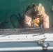 Exercise Caribbean Coastal Warrior 25: Hook and Climb