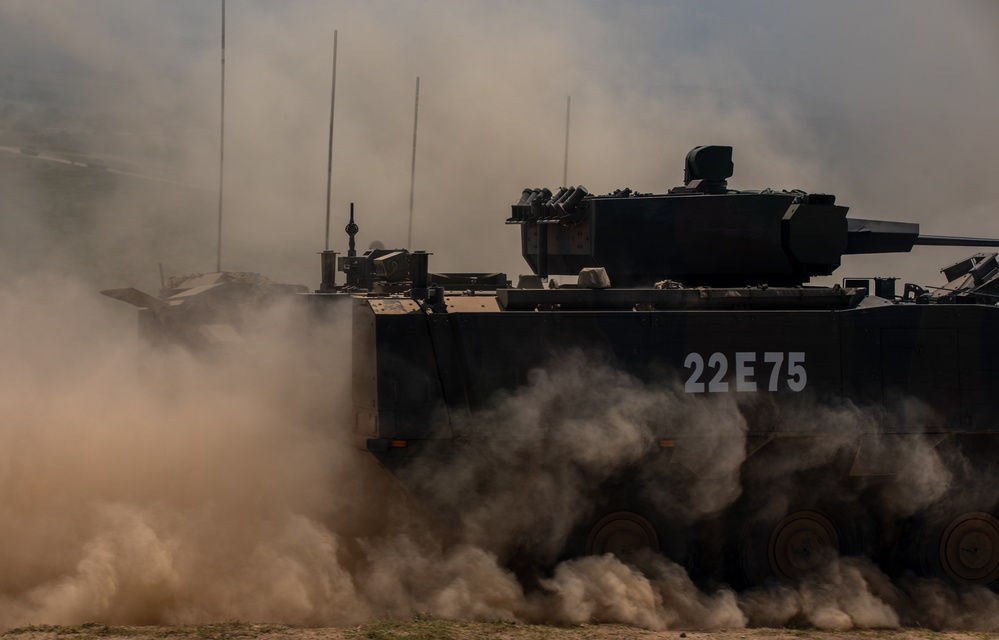 Combined Arms Live-Fire Exercise during Balkan Sentinel