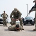 Sentry North Exercise