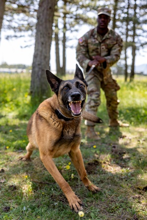 AFN Naples Radio News - NSA Naples K-9 Training and NSA Naples FCPOA Literacy Event