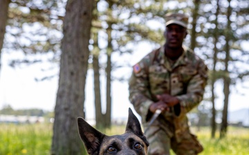 K9s in Croatia