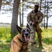 K9s in Croatia