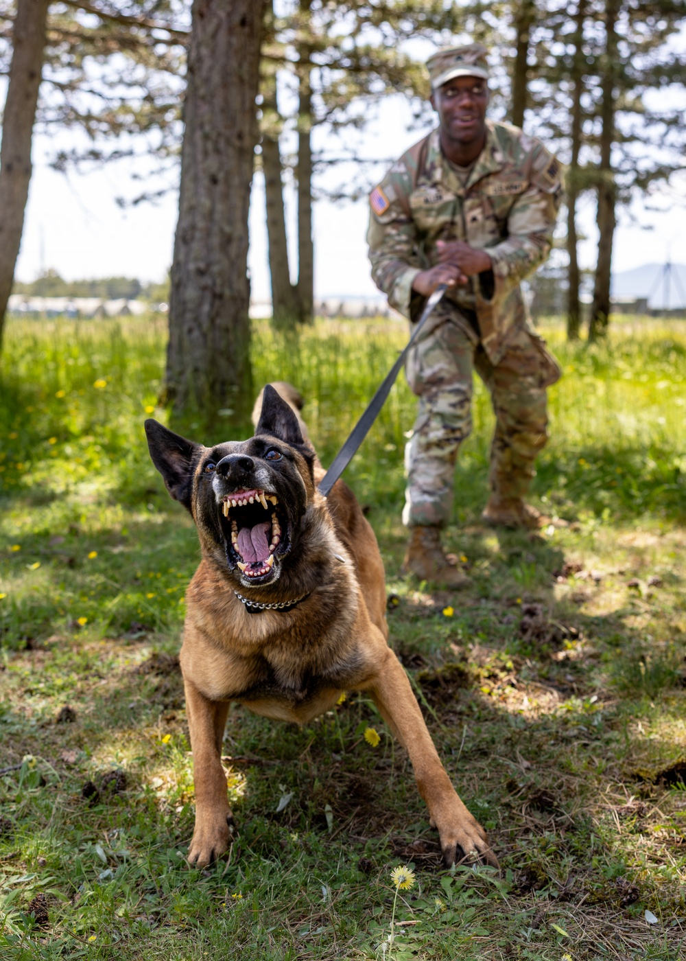 K9s in Croatia