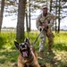 K9s in Croatia