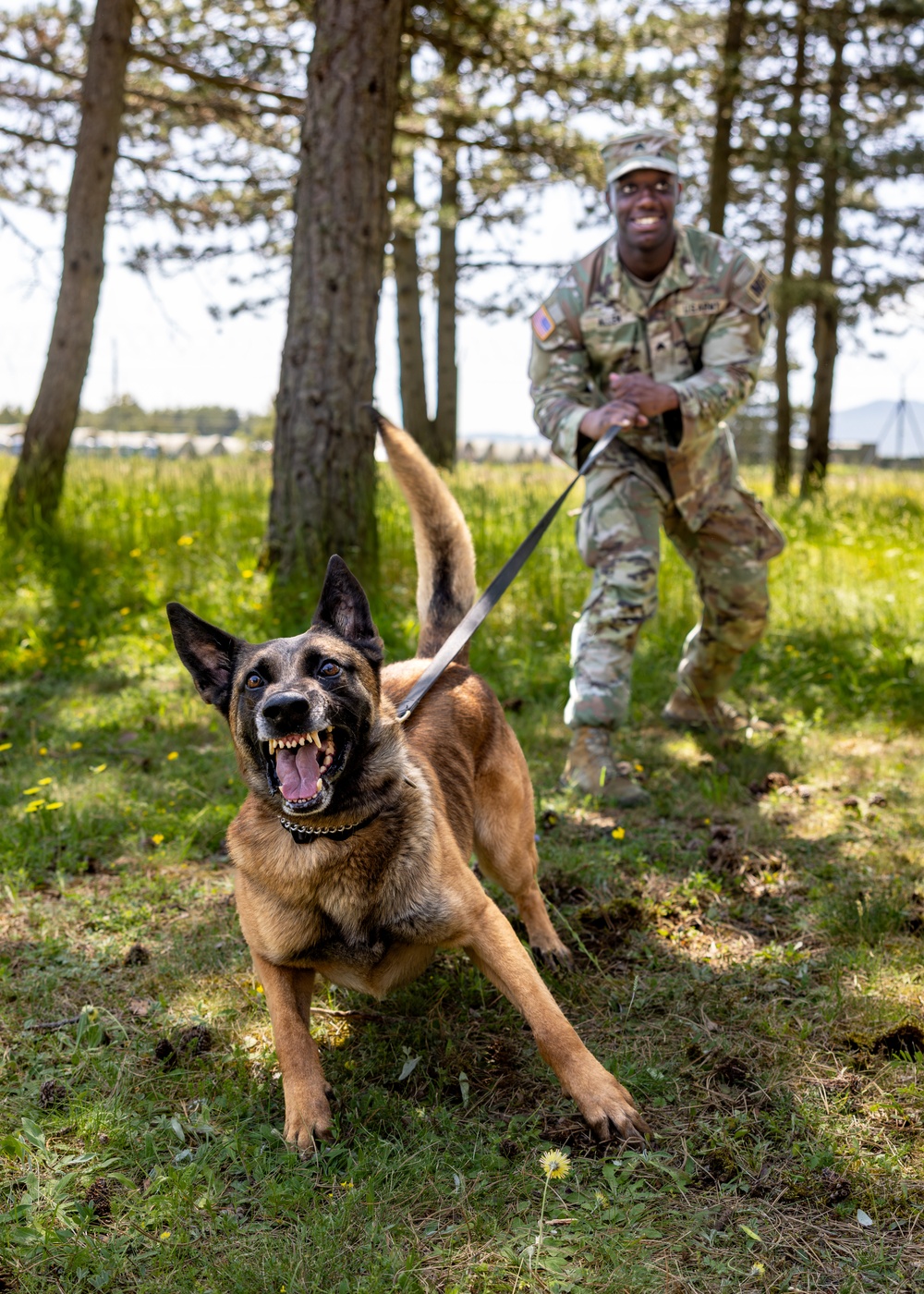 K9s in Croatia