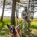 K9s in Croatia