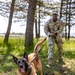 K9s in Croatia