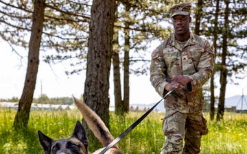 K9s in Croatia