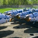 Assembling Lethality