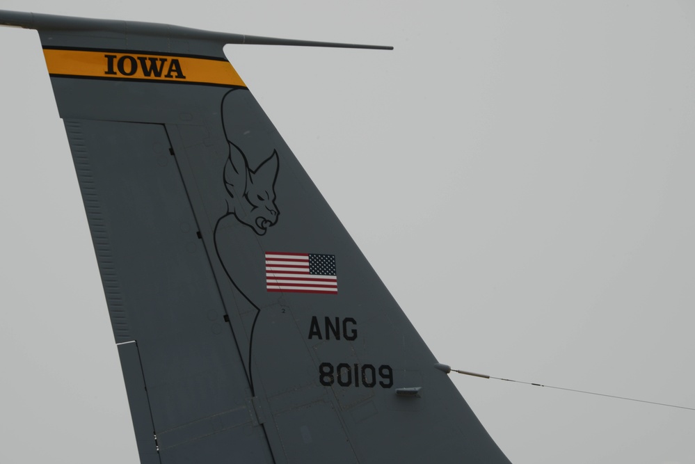 Bat tail