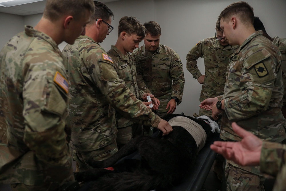 Arkansas National Guard Medical Training on Military Service Animals