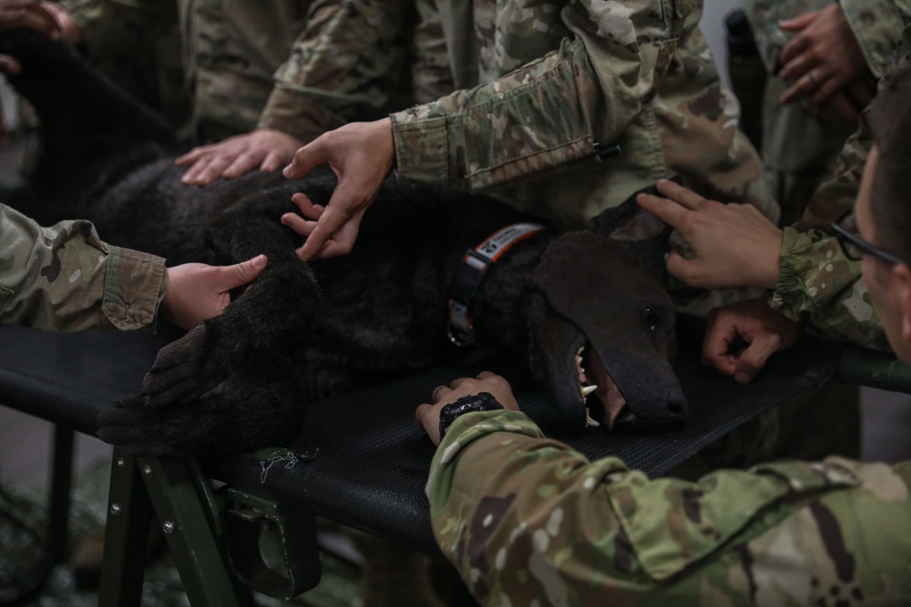 Arkansas National Guard Medical Training on Military Service Animals