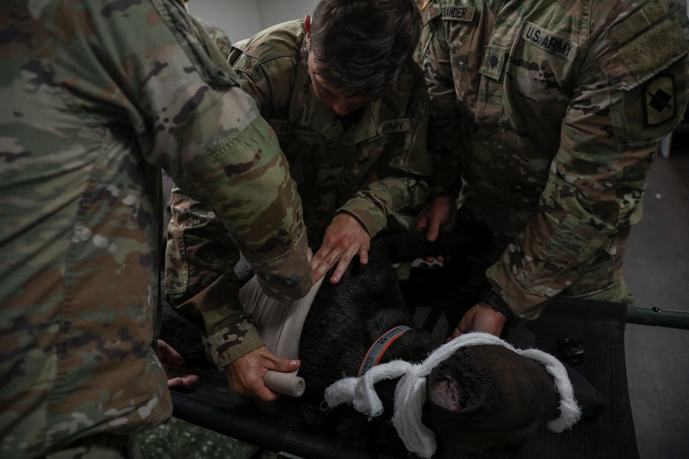 Arkansas National Guard Medical Training on Military Service Animals