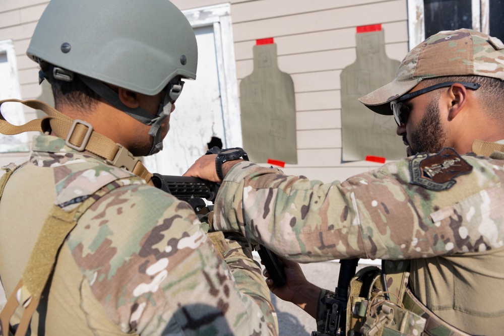 Sentry North Exercise