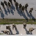 Sentry North Exercise