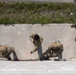 Sentry North Exercise