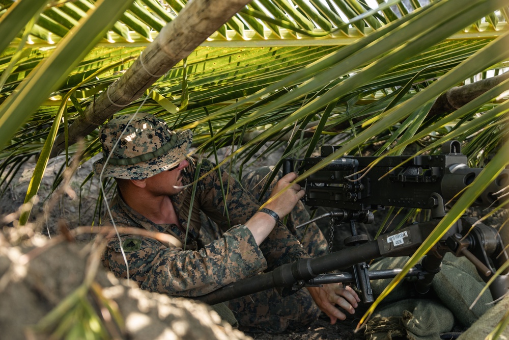 KAMANDAG 9: MRF-D 25.3 conceals fighting positions for counter-landing live-fire