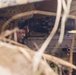 KAMANDAG 9: U.S., Philippine Marines conduct counter-landing live-fire