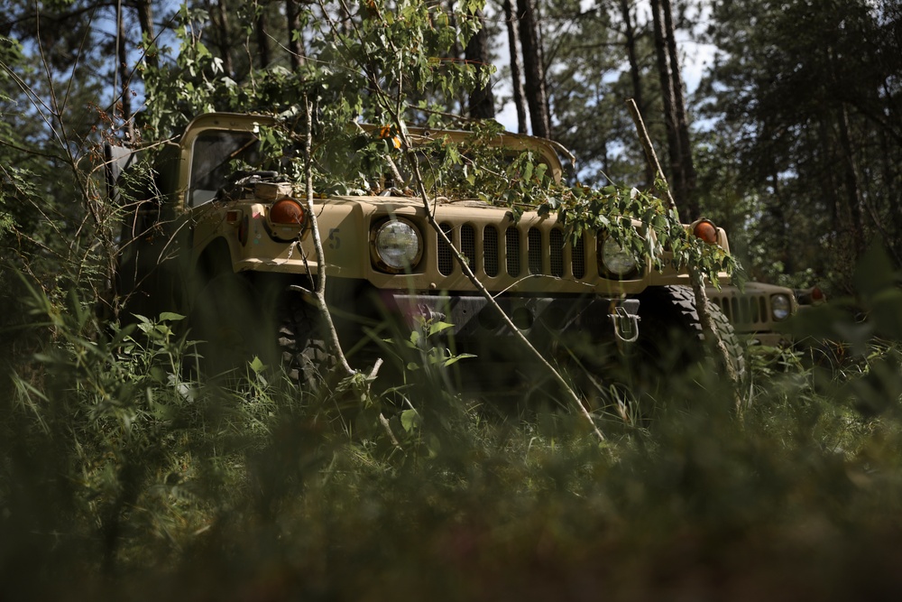Iowa Guard Humvee concealed during JRTC training