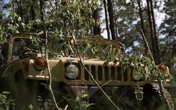 Iowa Guard Humvee concealed during JRTC training