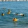 172nd OSS Water Survival Training