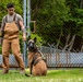 Showcasing Excellence: Military Working Dogs Train at Misawa Air Base