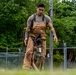 Showcasing Excellence: Military Working Dogs Train at Misawa Air Base
