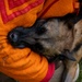 Showcasing Excellence: Military Working Dogs Train at Misawa Air Base