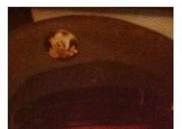 Carrying the Torch from Doughboys to Digital