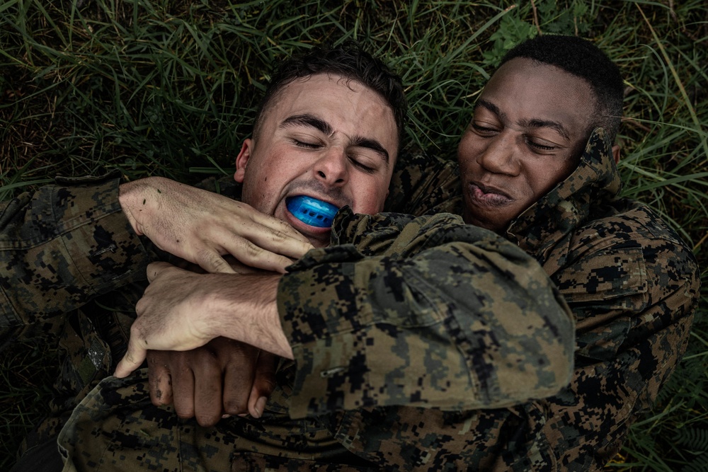 12th LLB Executes a Battle of Okinawa Inspired Training Day