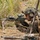 KAMANDAG 9: MRF-D 25.3 and PMC conduct a counter-landing live-fire defense