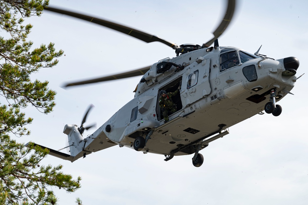 U.S. and Sweden continue land navigation training