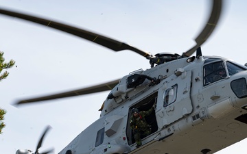 U.S. and Sweden continue land navigation training