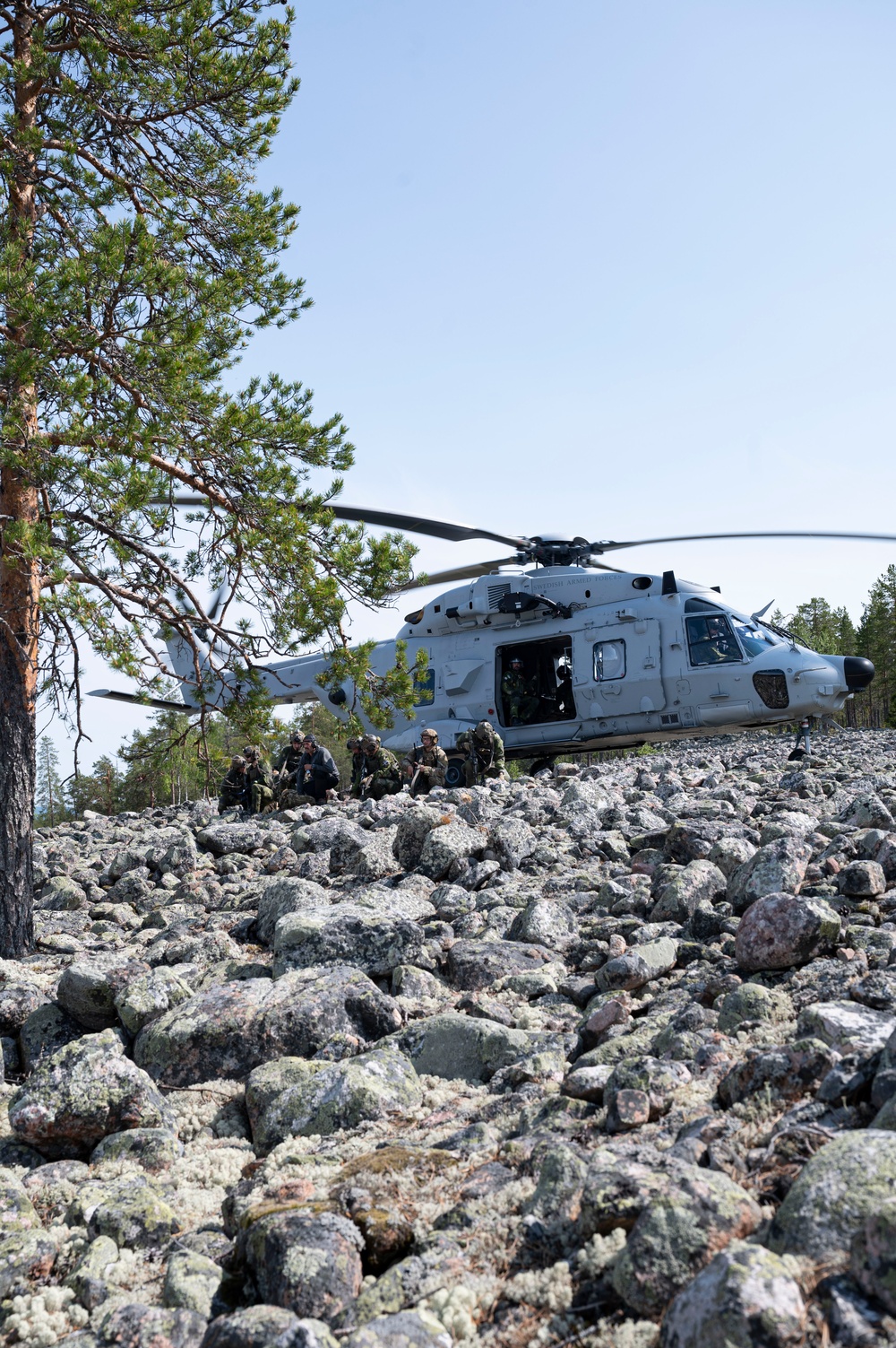 U.S. and Sweden continue land navigation training