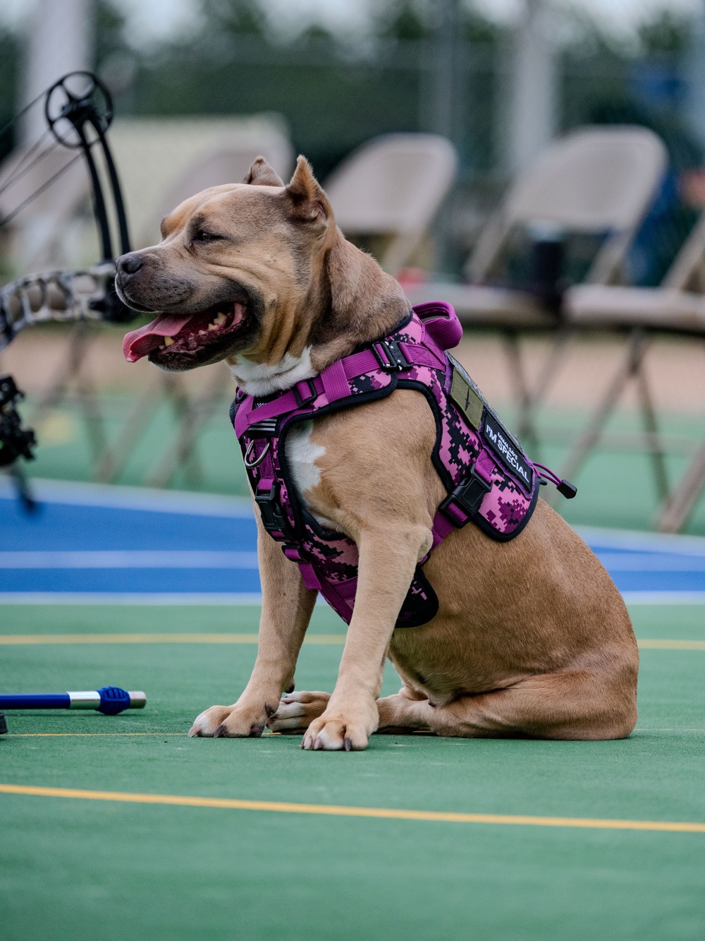 Air Force Warrior Games Athletes complete first day of Warrior Games training camp