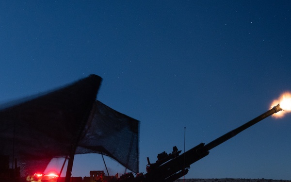 Hotel Battery 3/14 fires Howitzers during ITX 3-25