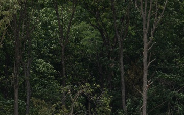Shape Terrain