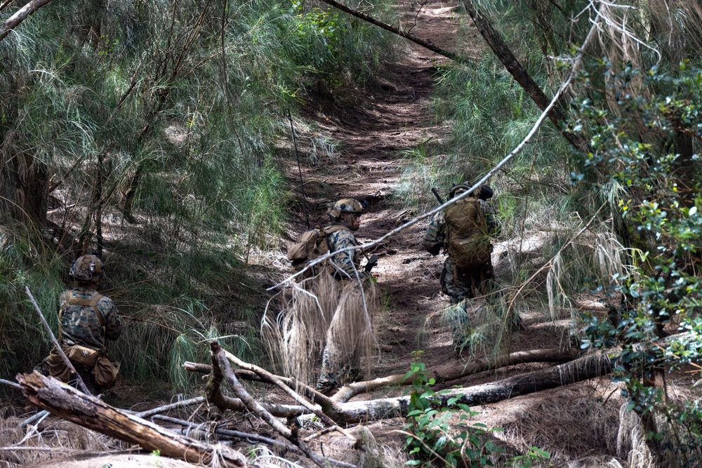 On the Offensive: SOI- West Advanced Infantry Marine Corps class 3-25 conducts offensive maneuvers at KTA