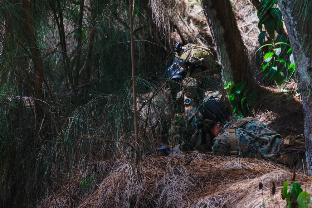 On the Offensive: SOI- West Advanced Infantry Marine Corps class 3-25 conducts offensive maneuvers at KTA