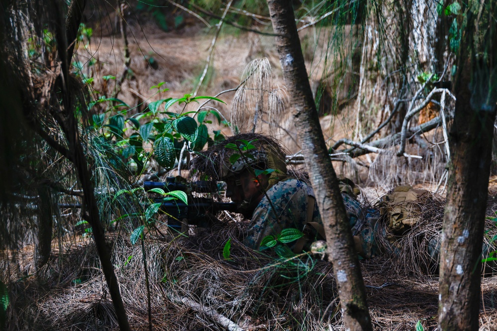 On the Offensive: SOI- West Advanced Infantry Marine Corps class 3-25 conducts offensive maneuvers at KTA