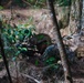 On the Offensive: SOI- West Advanced Infantry Marine Corps class 3-25 conducts offensive maneuvers at KTA