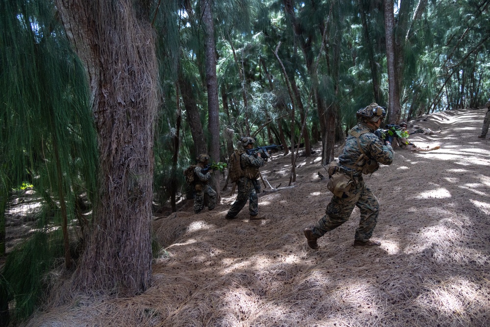 On the Offensive: SOI- West Advanced Infantry Marine Corps class 3-25 conducts offensive maneuvers at KTA