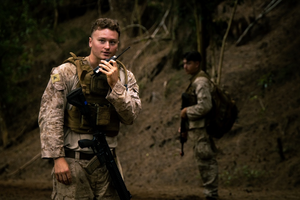 On Patrol: SOI-W Detachment Hawaii AIMC class 3-25 conducts ambush maneuvers at KTA