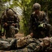 On Patrol: SOI-W Detachment Hawaii AIMC class 3-25 conducts ambush maneuvers at KTA