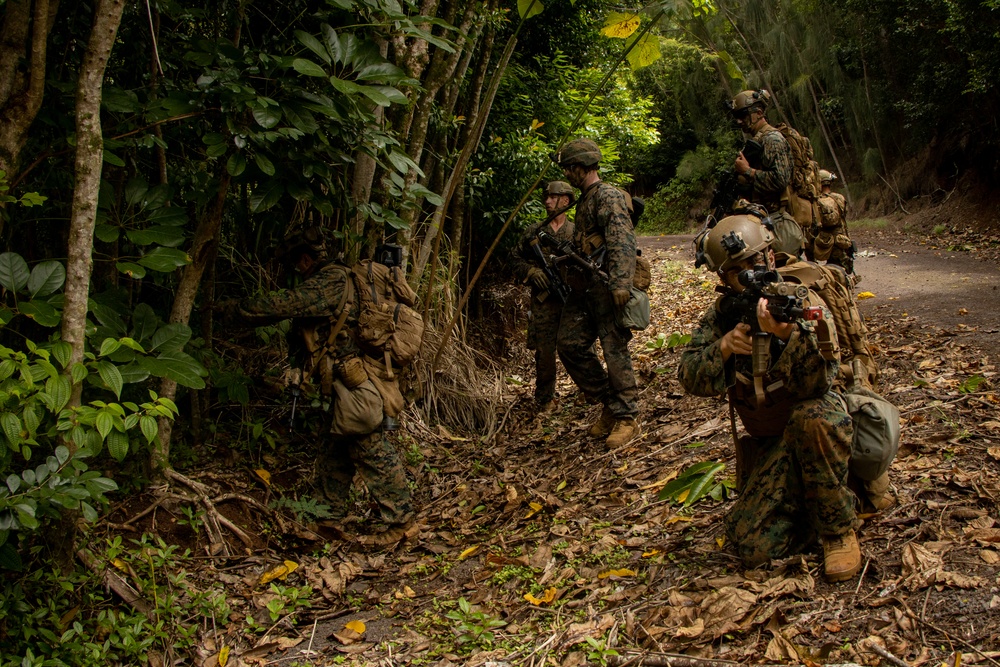 On Patrol: SOI-W Detachment Hawaii AIMC class 3-25 conducts ambush maneuvers at KTA