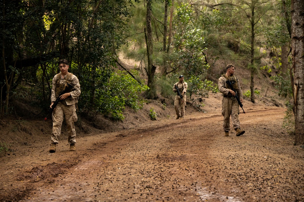 On Patrol: SOI-W Detachment Hawaii AIMC class 3-25 conducts ambush maneuvers at KTA