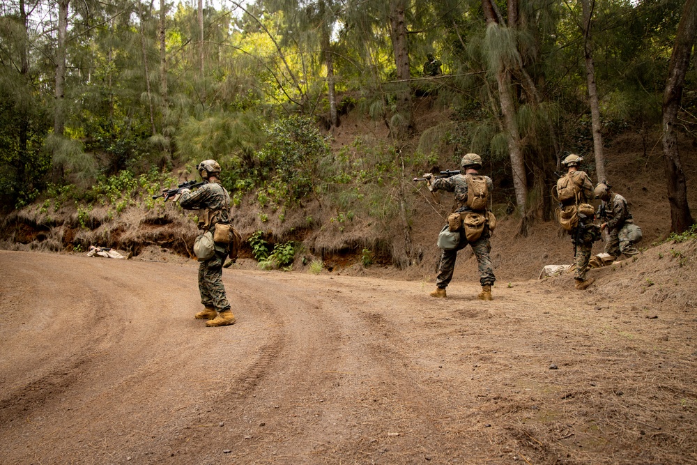 On Patrol: SOI-W Detachment Hawaii AIMC class 3-25 conducts ambush maneuvers at KTA