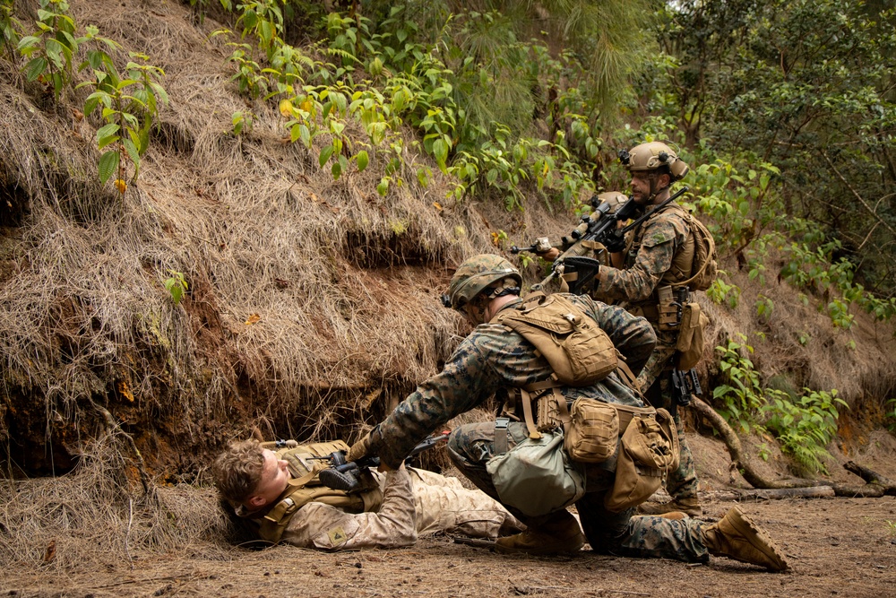 On Patrol: SOI-W Detachment Hawaii AIMC class 3-25 conducts ambush maneuvers at KTA